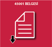Belge ikonu